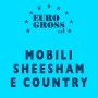 Mobili Sheesham e country5